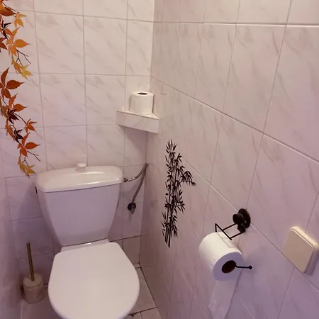 Pensión Rodinny U Nouzu Stare Hradiste